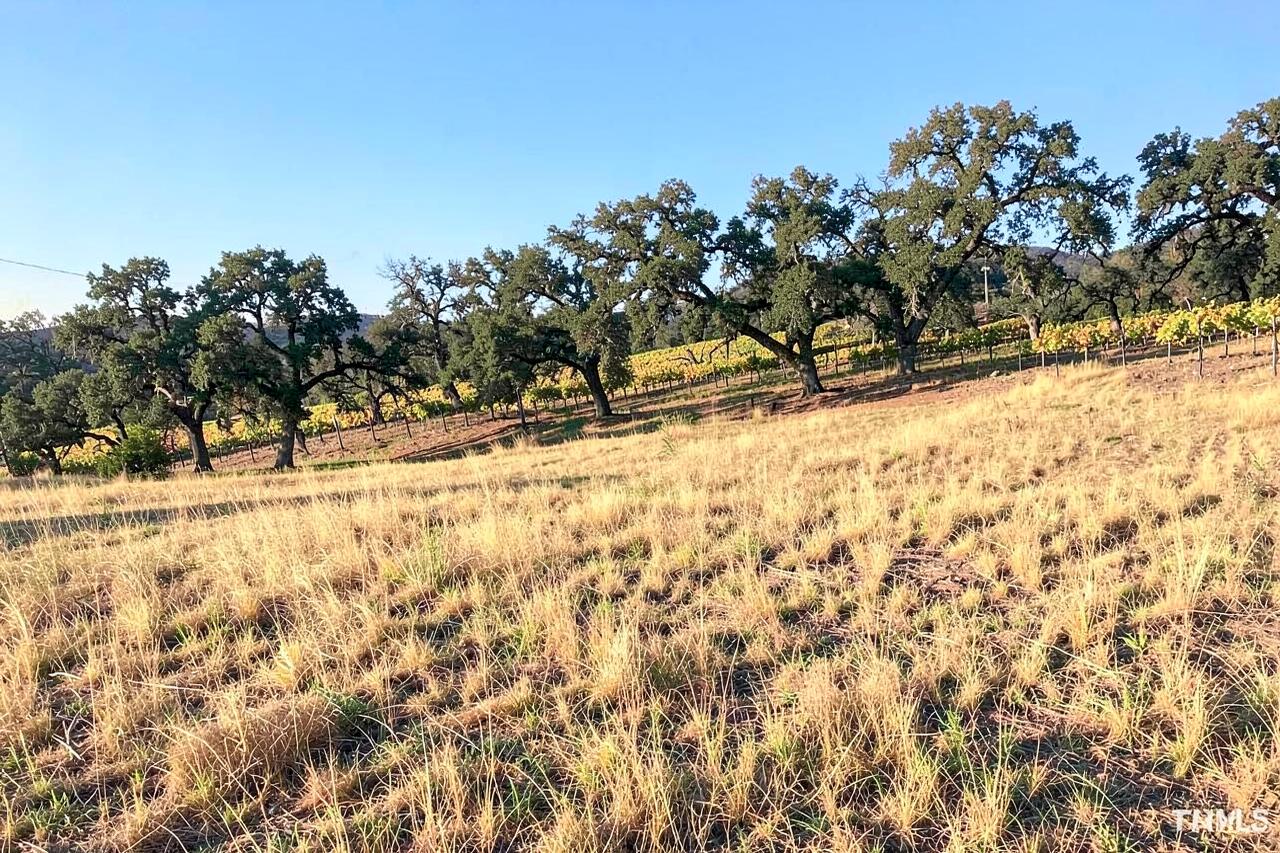 Land in Santa Rosa, CA